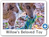  Willow's Beloved Toy