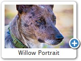 Willow Portrait