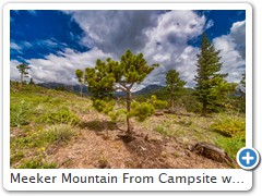 Meeker Mountain From Campsite with Twisted Tree