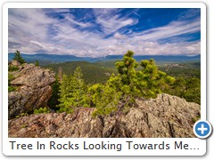 Tree In Rocks Looking Towards Meeker