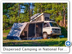 Dispersed Camping in National Forest