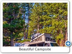 Beautiful Campsite