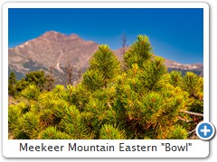 Meekeer Mountain Eastern "Bowl"