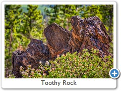 Toothy Rock