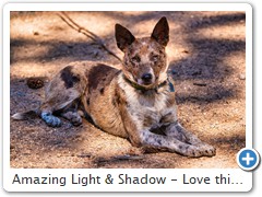 Amazing Light & Shadow - Love this Shot!