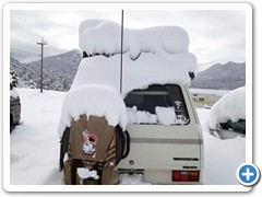 Snowy Rear View